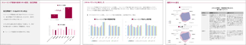 報告資料サンプル